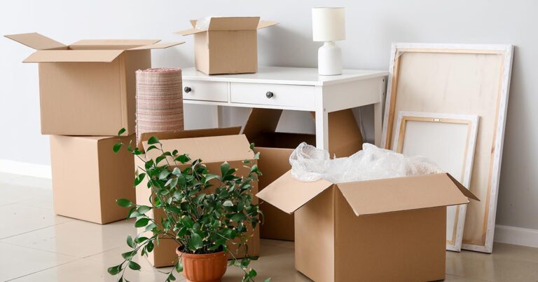 In einer leeren Wohnung stehen gepackte Umzugskartons, Möbel und eine Pflanze | Umzug